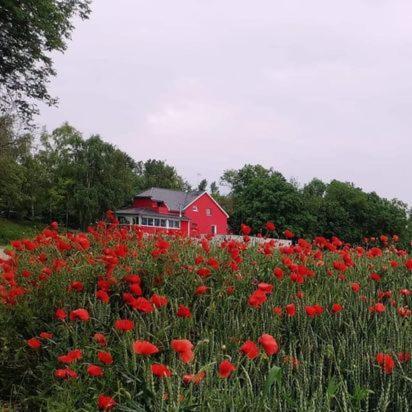 Au Hameau De L'ecluse Proche Europa-park * Marckolsheim